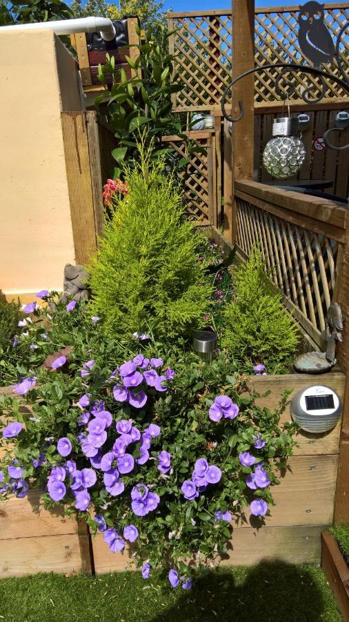 Owly 'Ouse Bed and Breakfast Μπάρνστεϊπλ Εξωτερικό φωτογραφία
